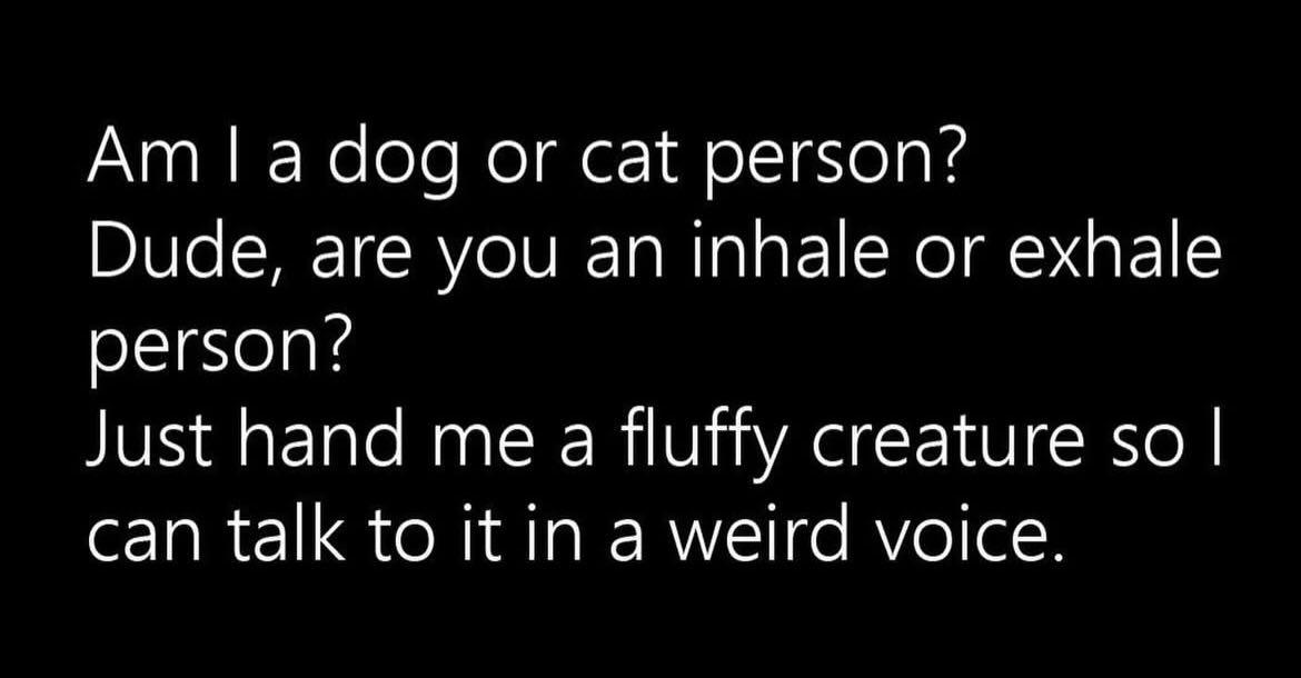 Kersies's tweet photo. @MarkRPellegrino @Dogman1013 https://t.co/ZBUuGCyVqb