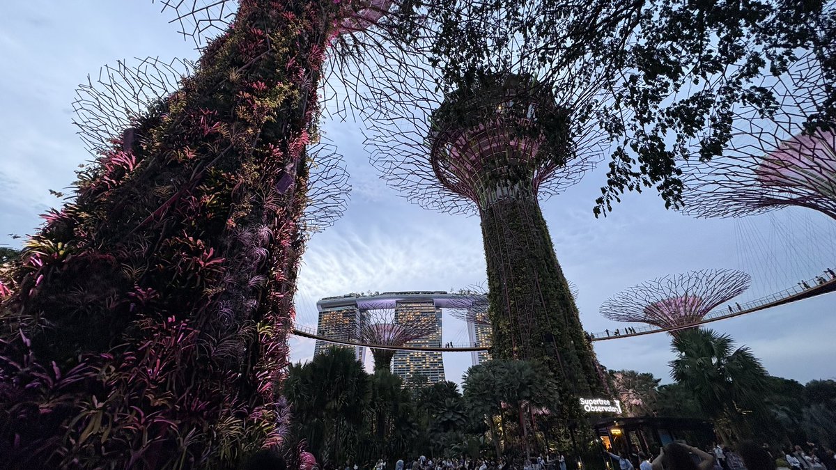 DDepic__'s tweet photo. Garden by the bay #singapore https://t.co/9ioZBPYK3Y