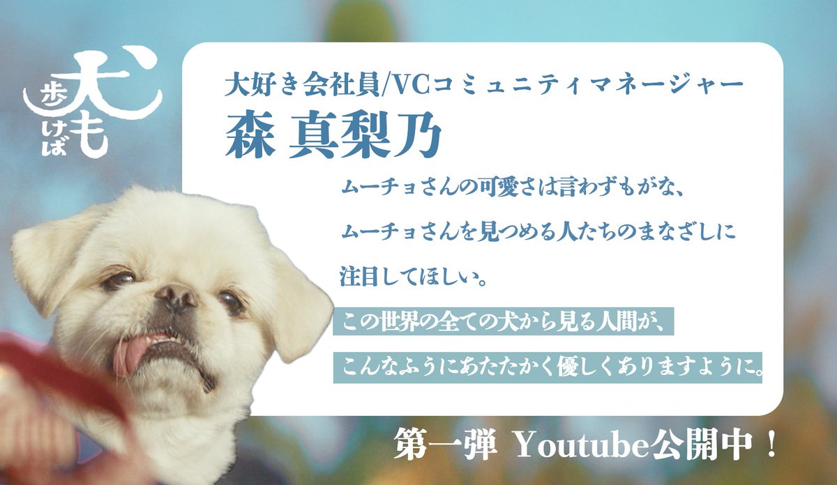 「犬も歩けば」　犬と人の人情ドラマ tweet media