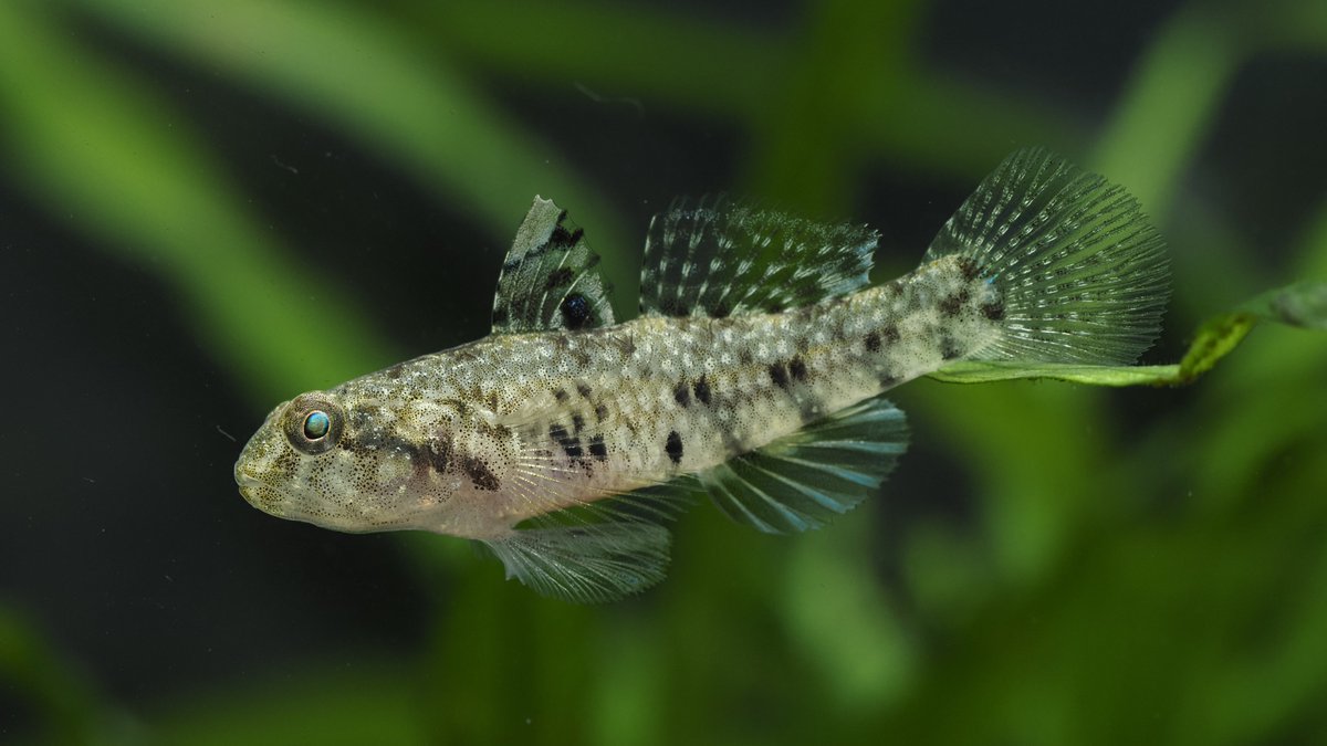 アクアライフ山田 tweet media