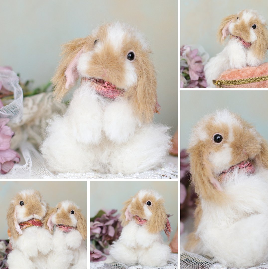 ちゃすけ店長の通販企画に参加する
ちいさなオレンジロップさん🐰

ブロークン模様は
その子だけの可愛い個性だと思っているので、
同じ子がいないよう制作しています。
似ているようでも、どこか違う。
うちの子だけの個性を楽しんでいただきたいです♡

🎀3月3日うさぎの日 21:00～