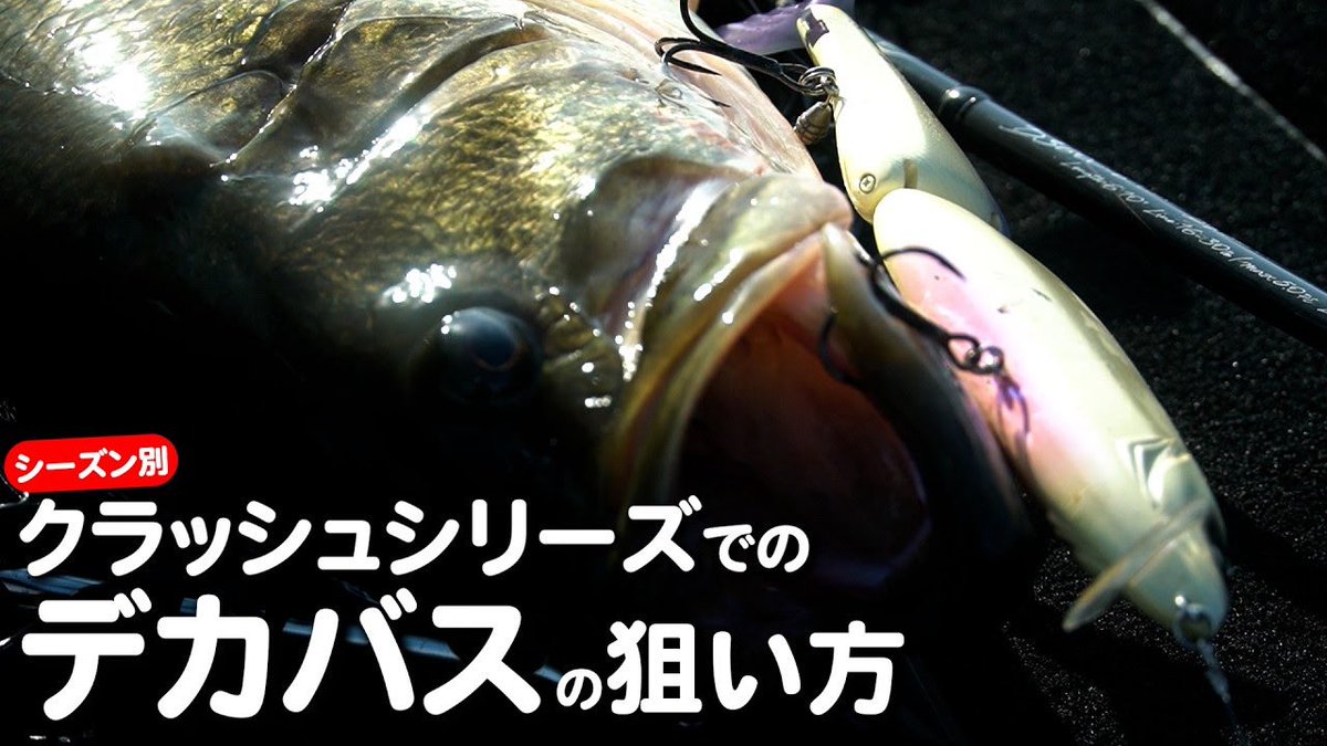 メジャクラBassTube tweet media