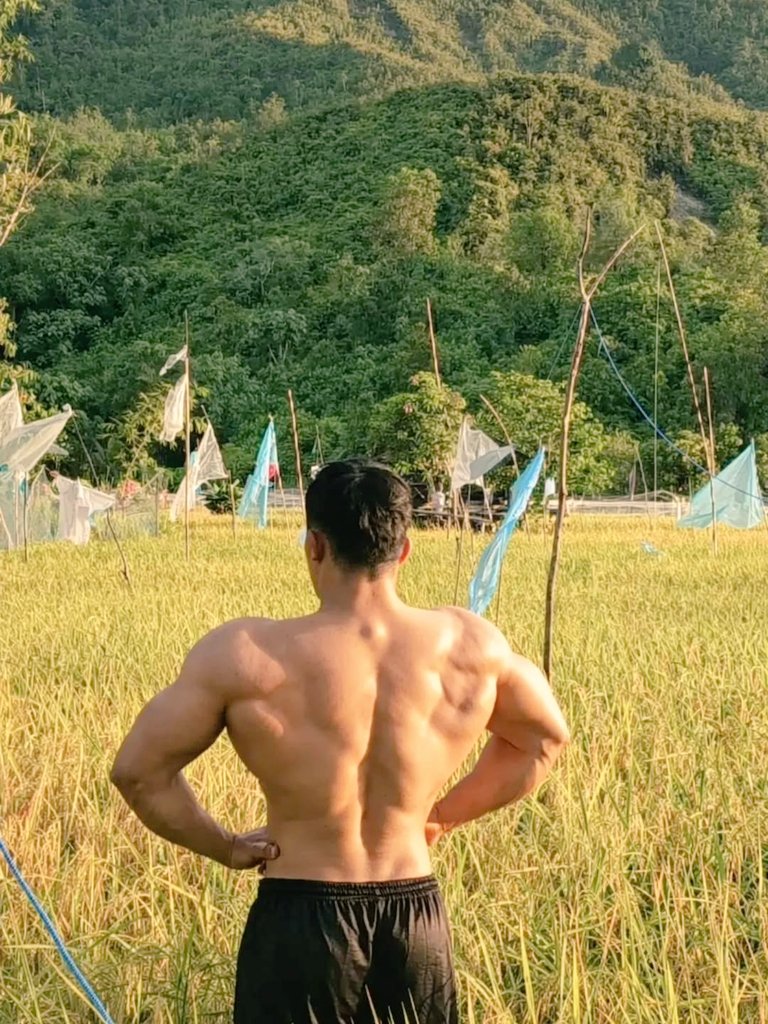 brondmusclepics's tweet photo. Nice view, nice body! 🔥

--cr. dxcvX https://t.co/W9FeLVKJZI
