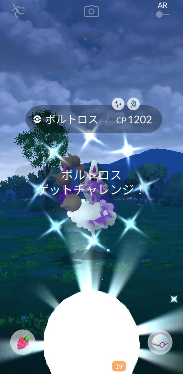 ゆずぽん🪼GO tweet media