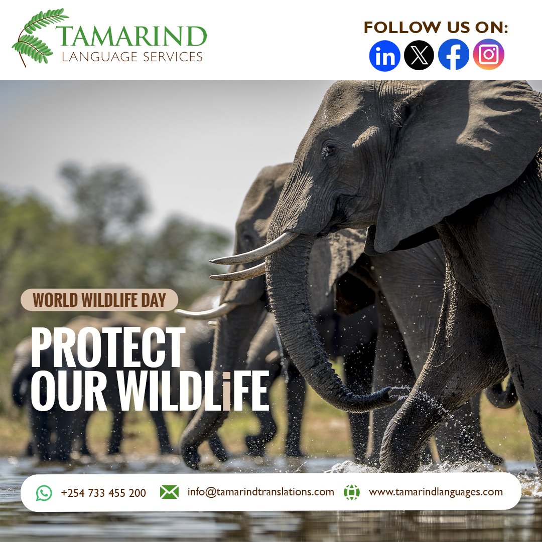 Tamarind Language Services tweet media