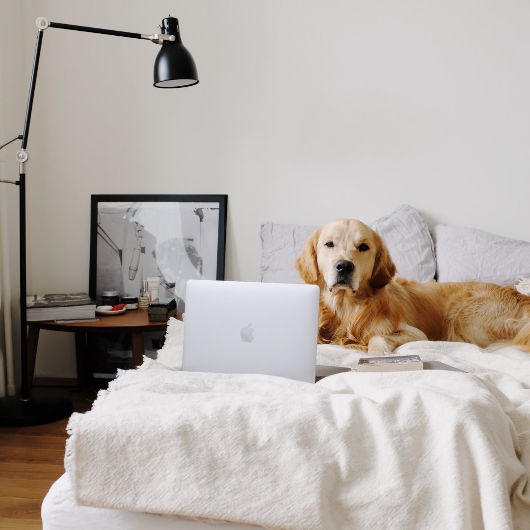 SleepSoul tweet media