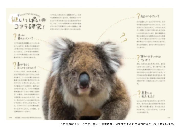 世界文化社の本（出版社）【公式】 on X: 