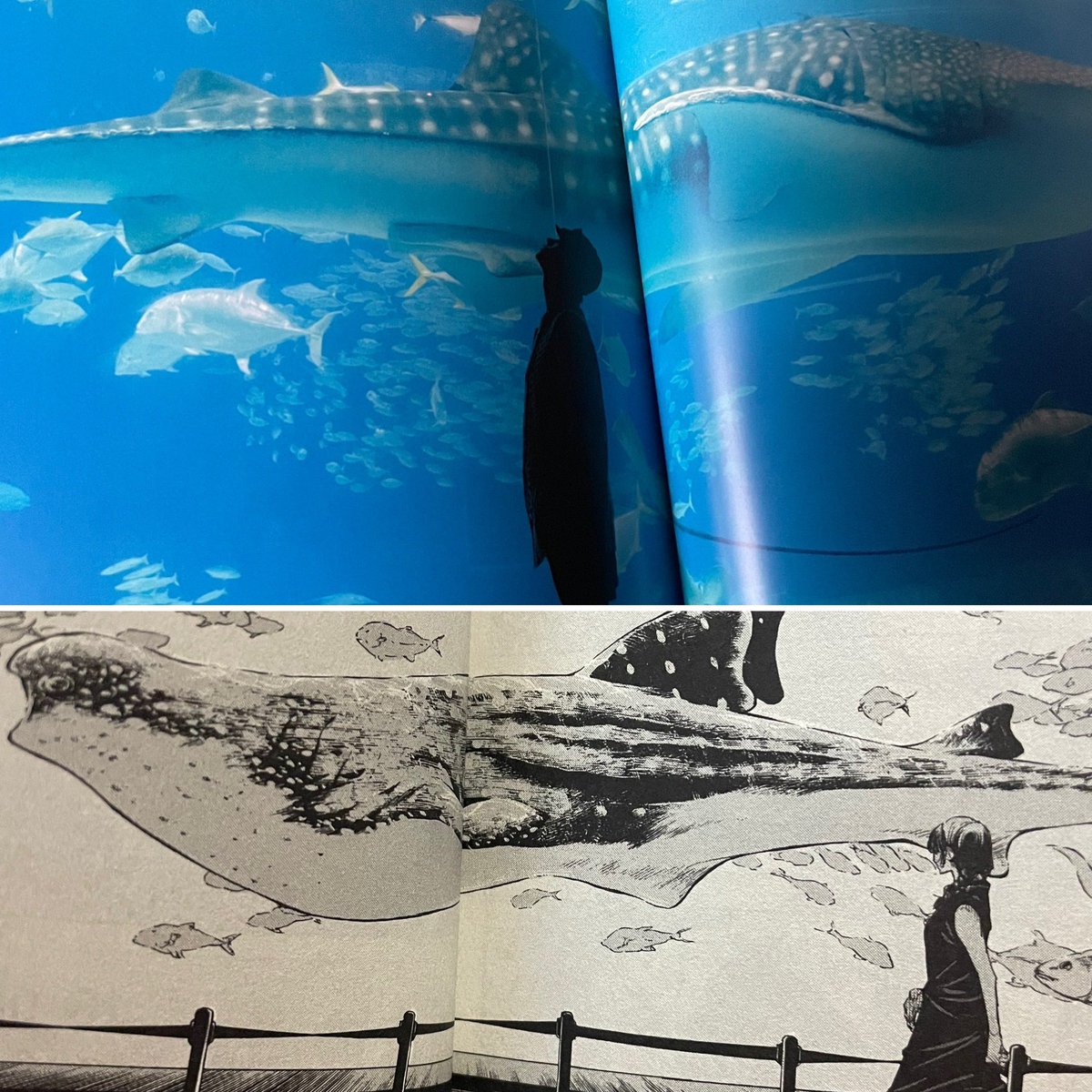 freestyle写真集＆DVD＆特典ブロマイド届きました‼️ありがとうござい