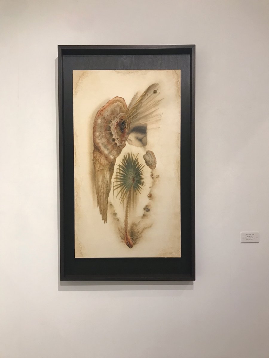 霧とリボン tweet media