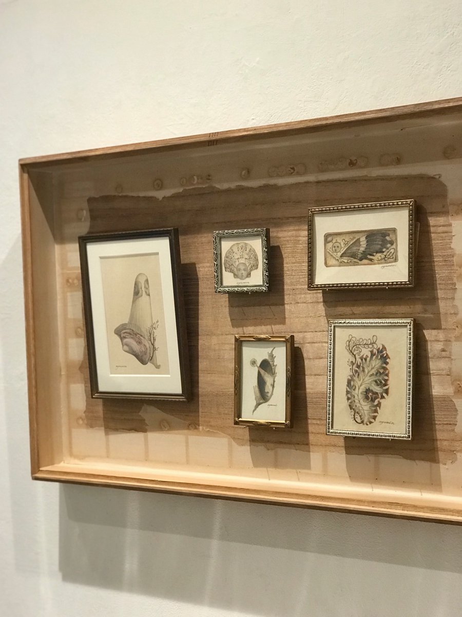 霧とリボン tweet media