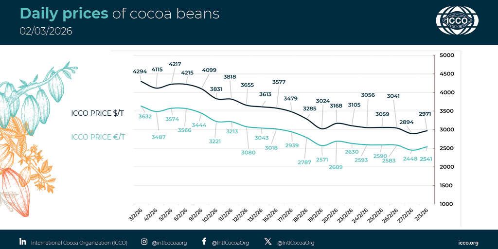 International Cocoa Organization (ICCO) tweet media