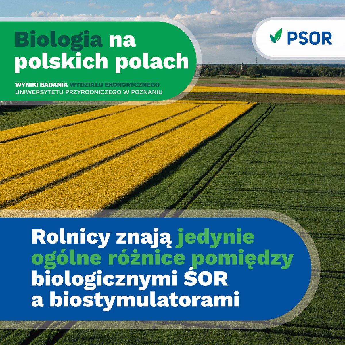 Polskie Stowarzyszenie Ochrony Roślin tweet media