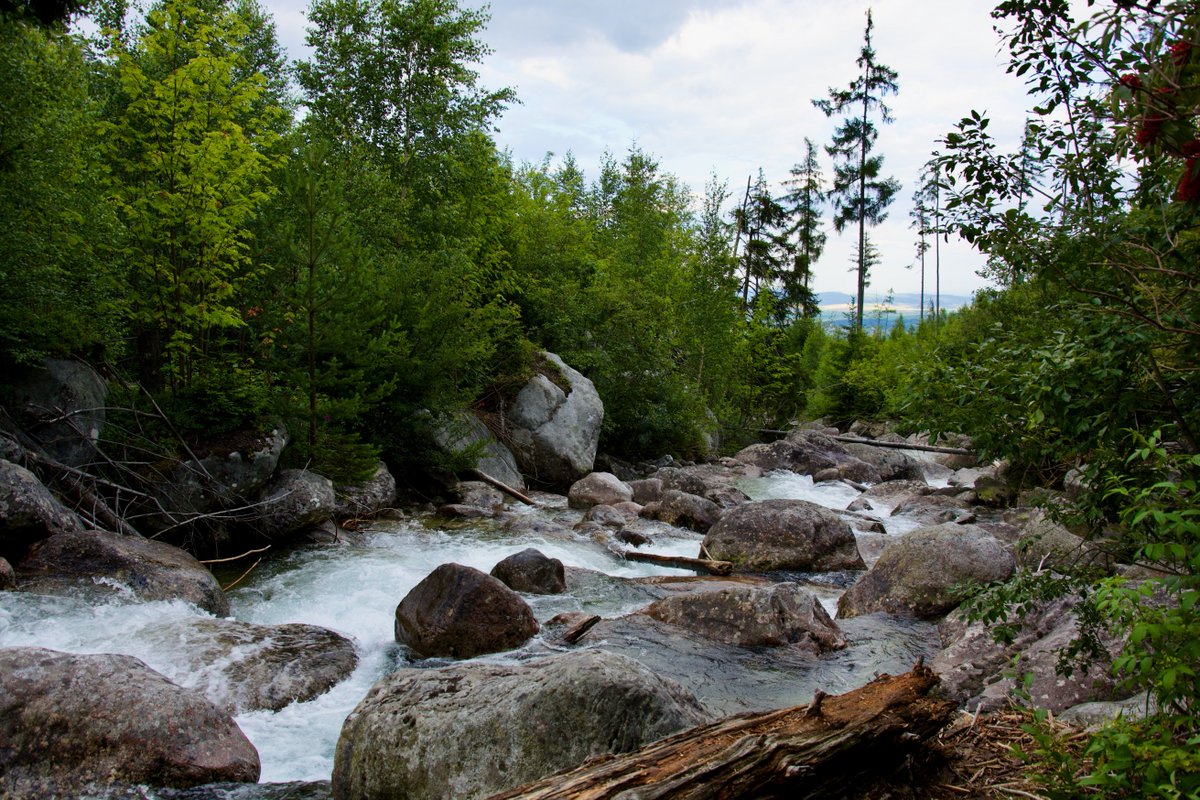 In Q-FLOW, price discovery happens only on the market.

No fixed ratios.
No off-chain guarantees.
No artificial floors.

Usage triggers buy.
Market sets the value.
Burn reduces supply.

That’s the structure.

#QFLOW #Tokenomics #Web3