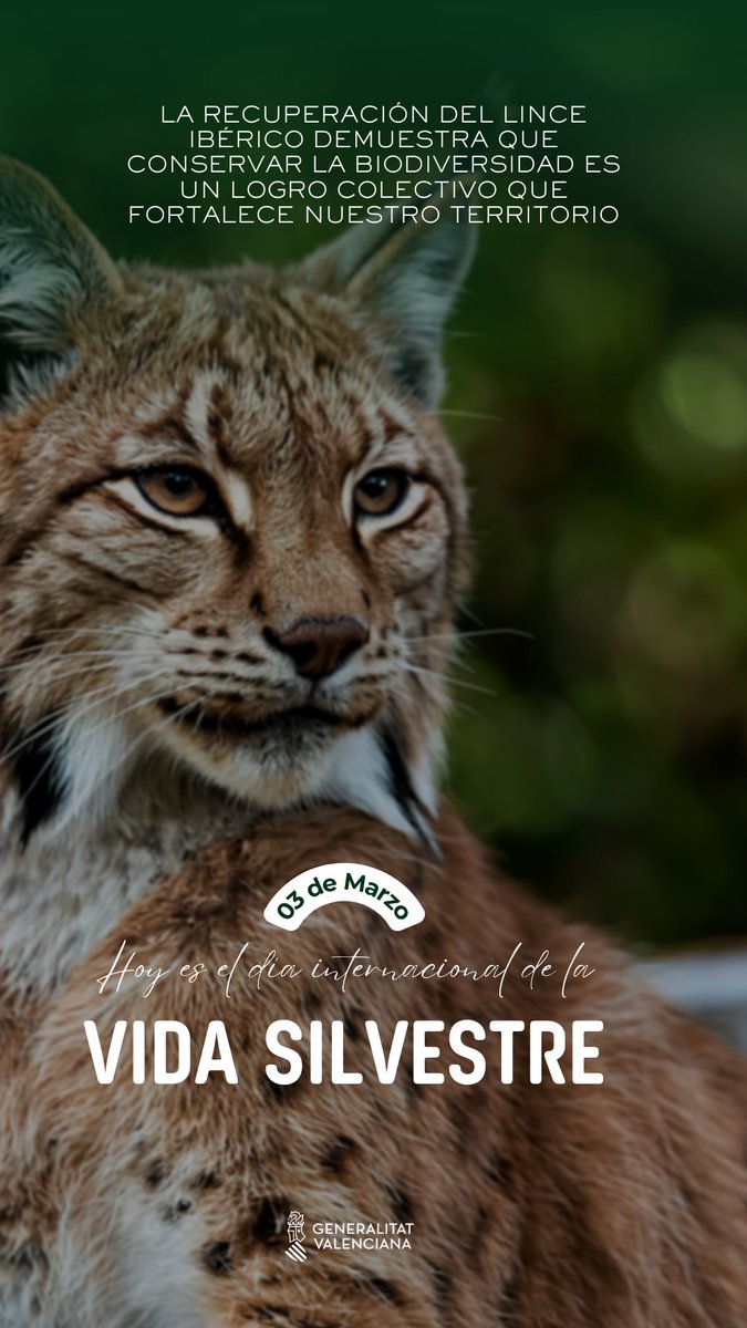 M.Ambient Infraestructures Territori i Recuperació tweet media