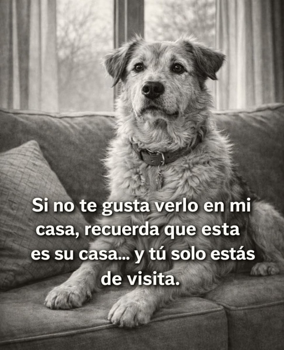 OluMarVas! 🤍 (@oggys1501) on Twitter photo 