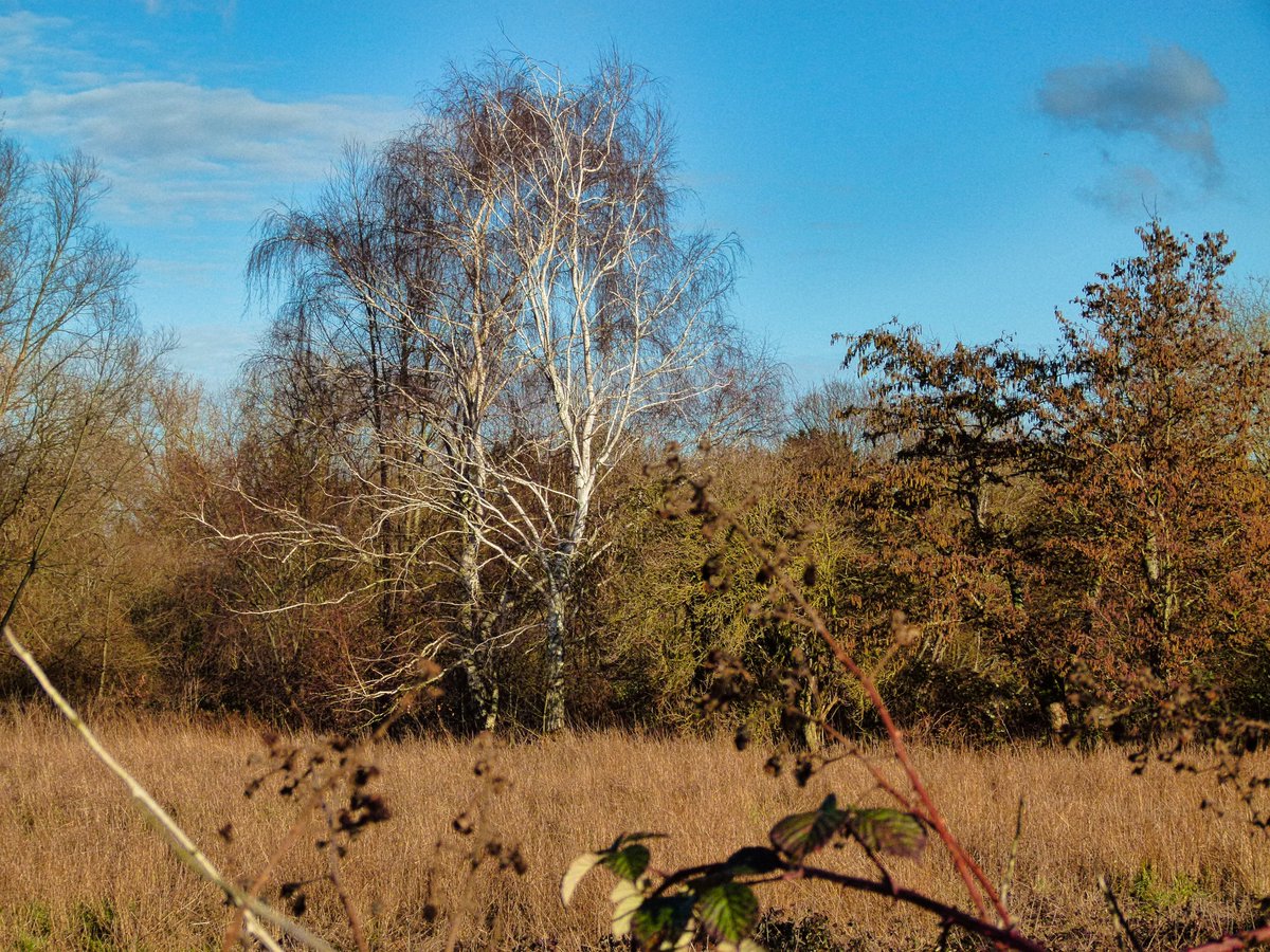 Walks In Camera 🇺🇦 tweet media