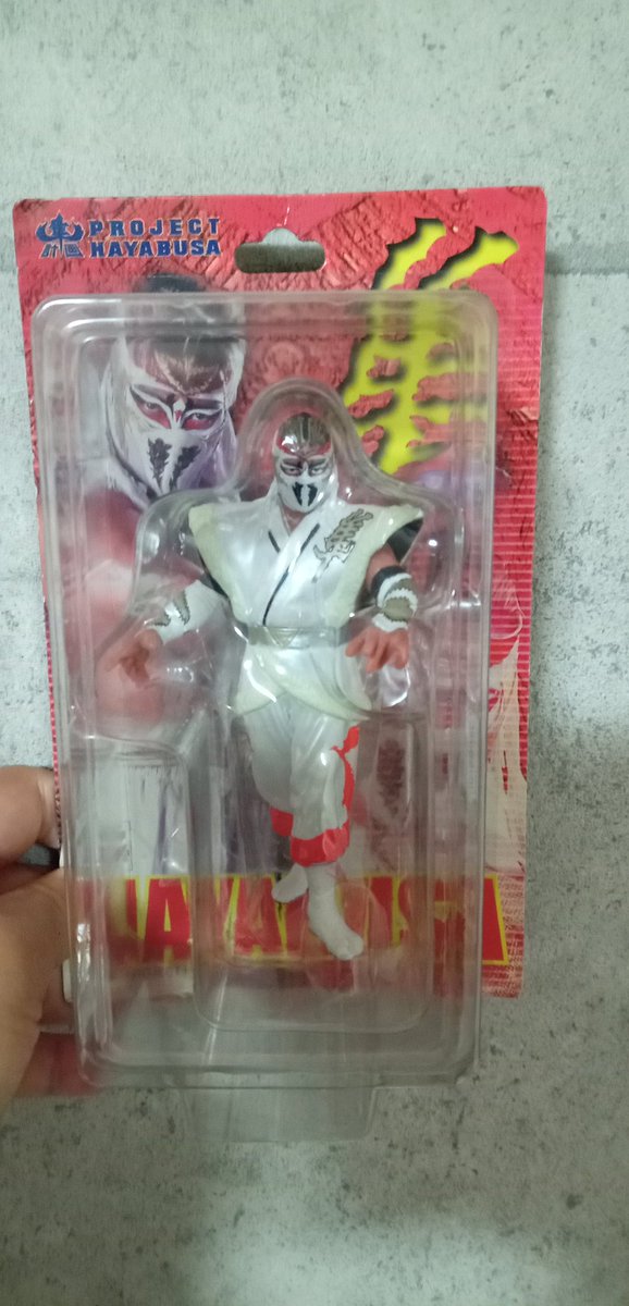 久し振りに出しました🪽 #HayabusaForever #ハヤブサ #プロレス
