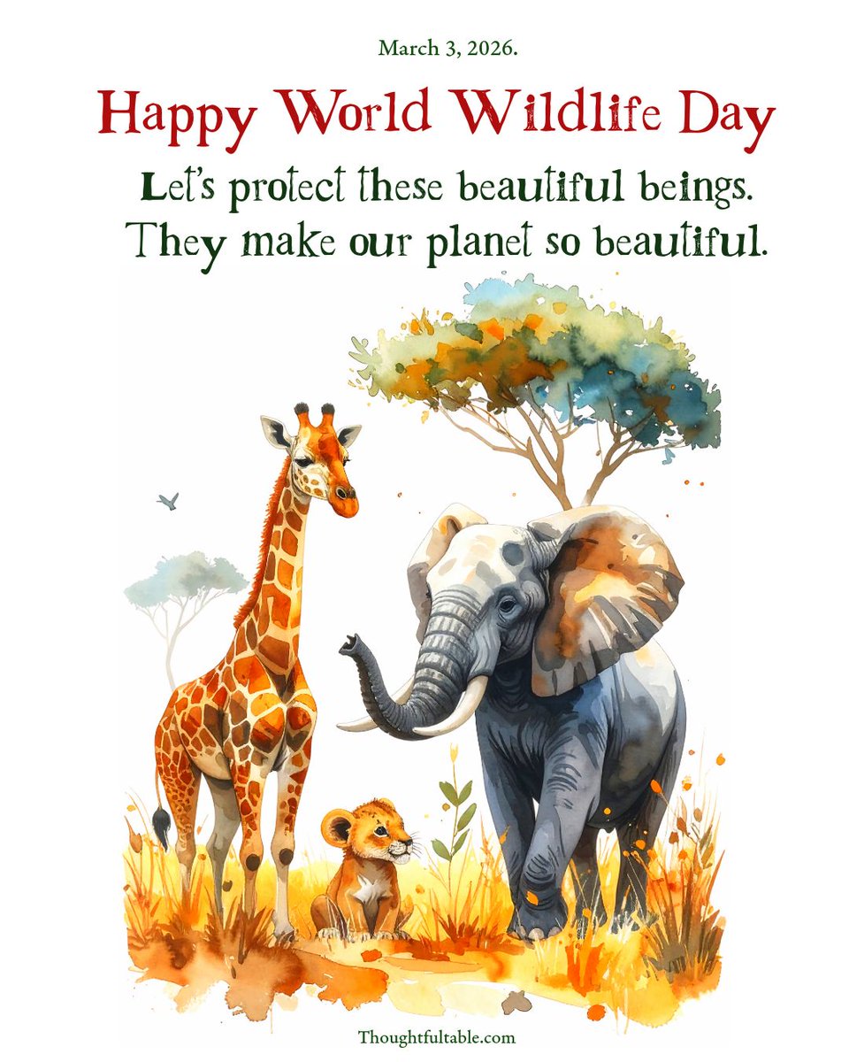 Happy World Wildlife Day!
Protect. Preserve. Conserve.