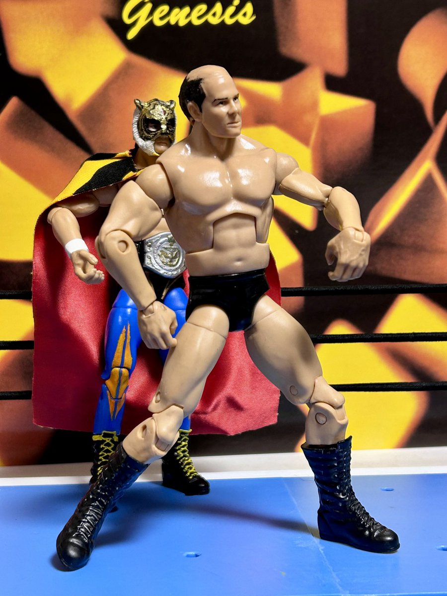 スティーブ・ライト　アクションフィギュア登場

えっ？ただのおじさんではありません。
すいません、これでも初代タイガーマスクと隠れた名勝負をしたスティーブ・ライトさんです。
明日のタイトルマッチのために、余った頭部と胴体を再利用して作りました。

Stephen "Steve" Wright Action Figure