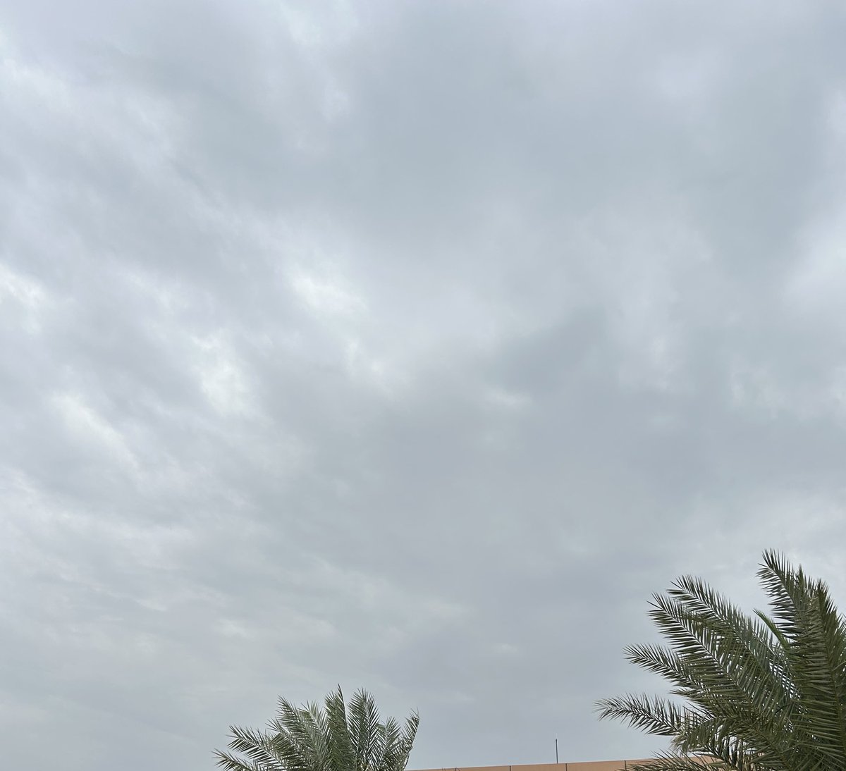 اجواء الشرقية اليوم ولا اروع