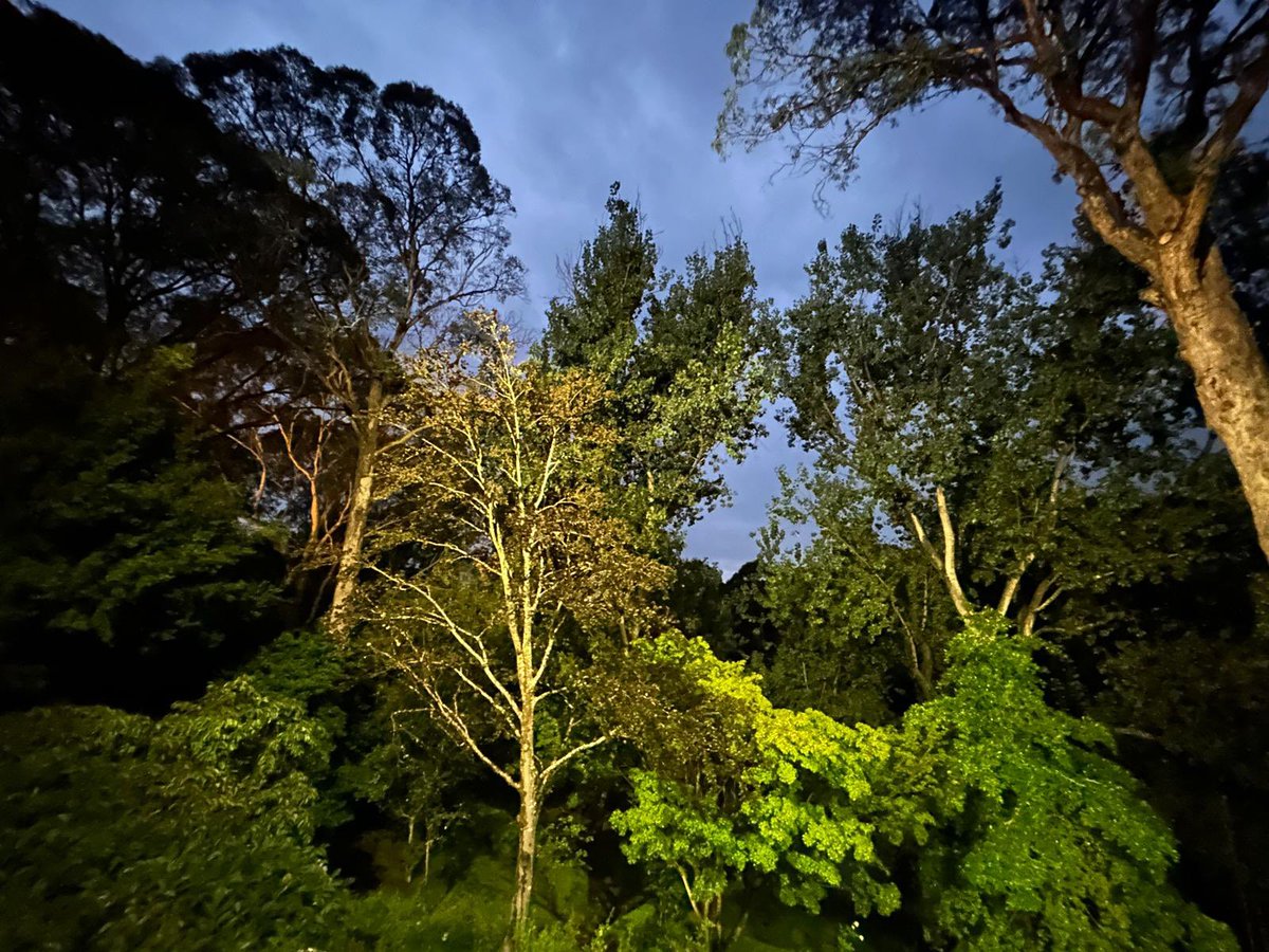 Jimmy Barnes tweet media