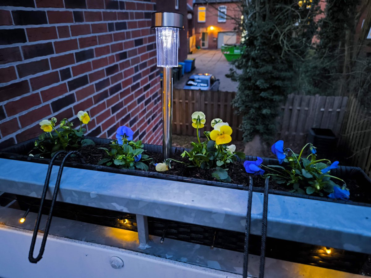 Der Frühling darf einziehen. Ich war gestern fleißig. 🥰🌸🌷