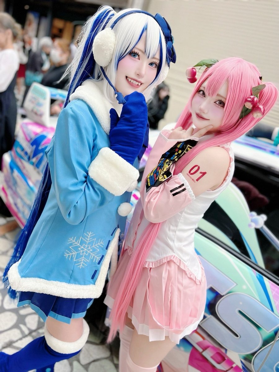 春が来てるね🌸 ❄️@Xion_03 🌸ねこちゃん。