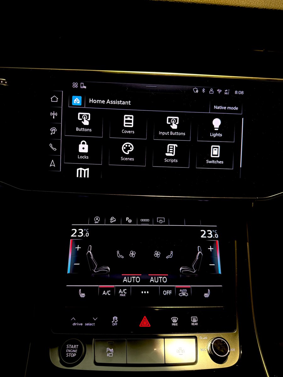 Miroslav Petrov tweet media