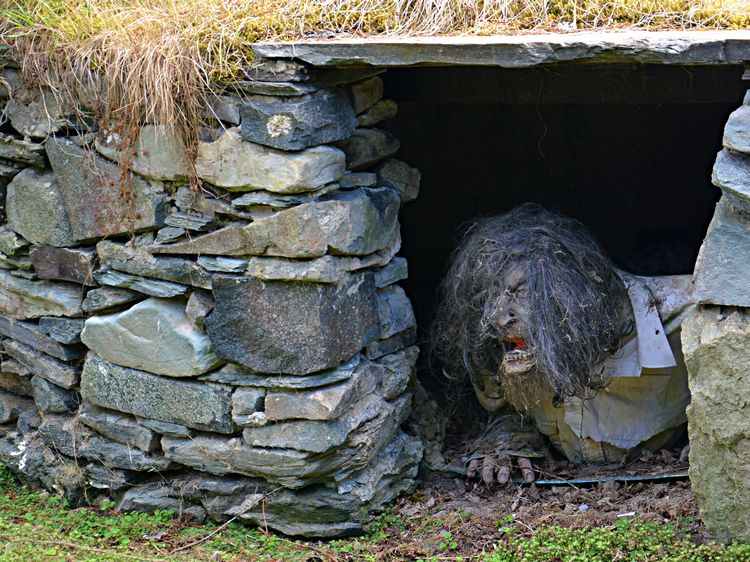 WeLoveDonegal tweet media