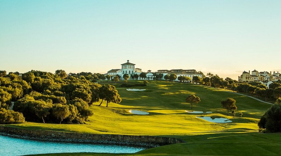 RFGA - Oficial tweet media