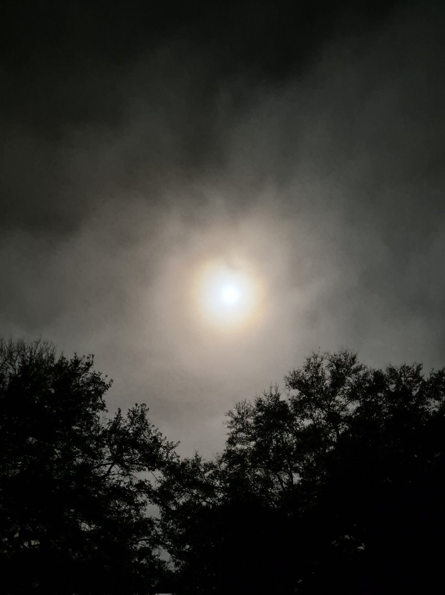 Dragonlady tweet media