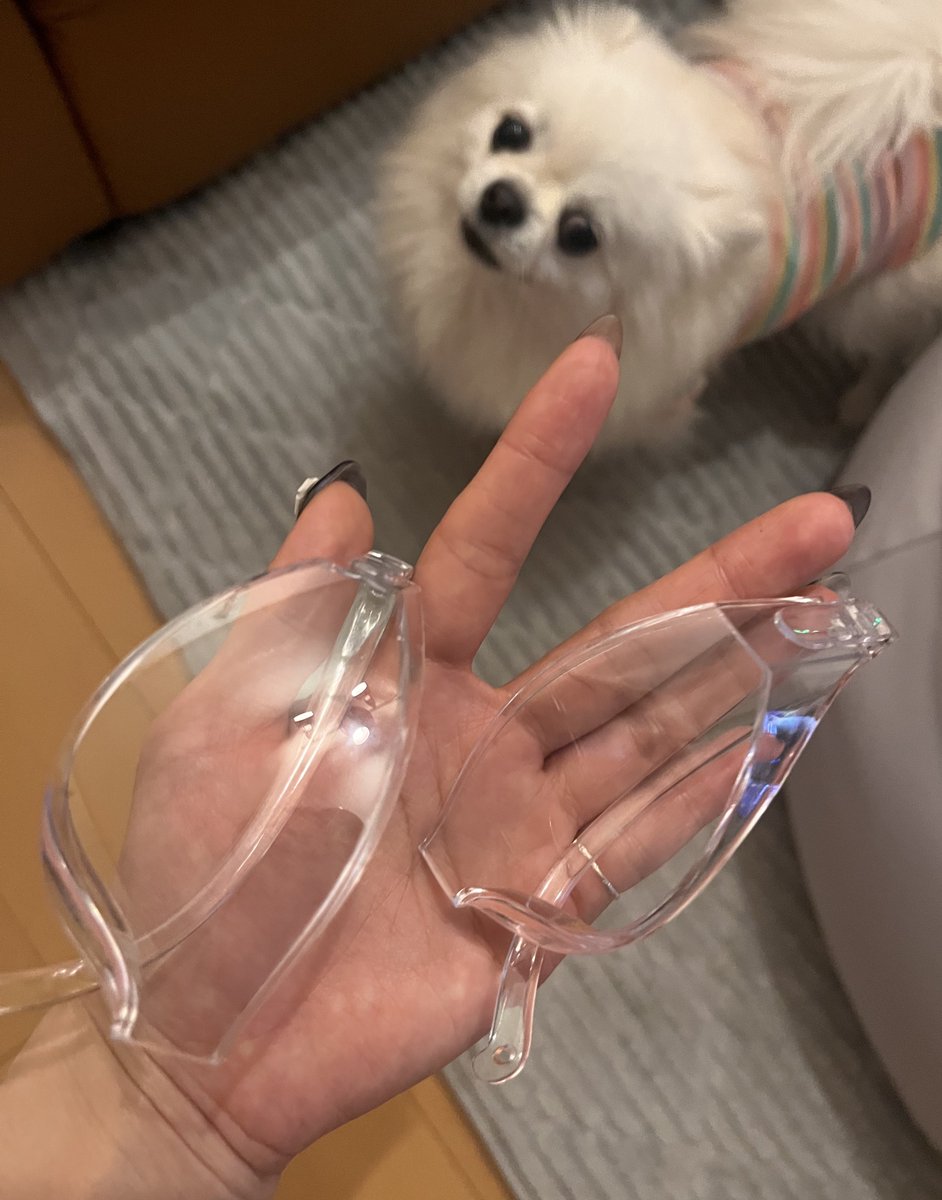 命の花粉症メガネがお亡くなりになられました

𝑻𝒉𝒆 𝑬𝑵𝑫_______