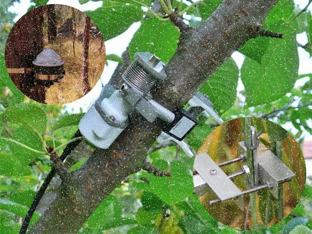 EDNcom's tweet photo. How botanical sensors give plants a voice https://t.co/oiApqFnJrB https://t.co/et9gy7foH3