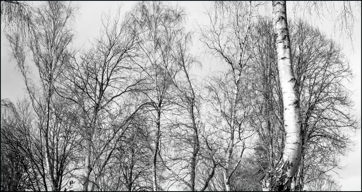 Steve Edwards #The Smoking Photographer tweet media