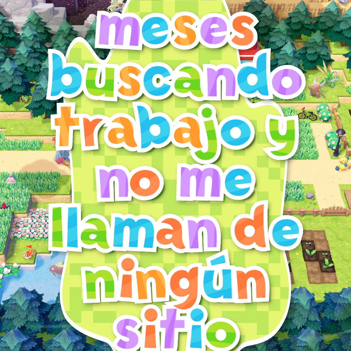 DivulgaHalcón tweet media