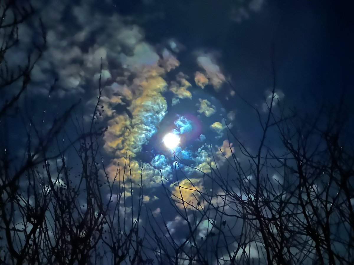 Mick Fitzgerald tweet media