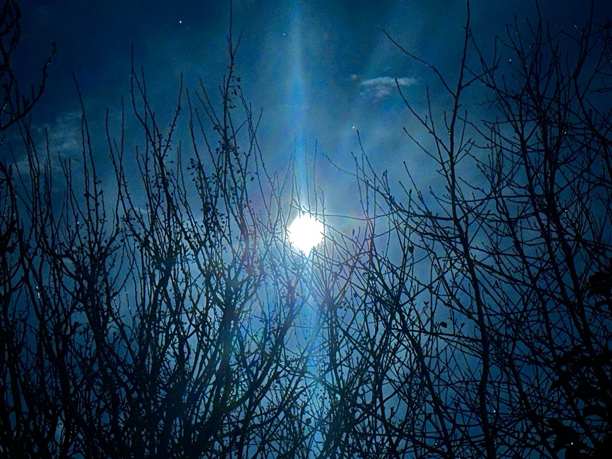 Mick Fitzgerald tweet media