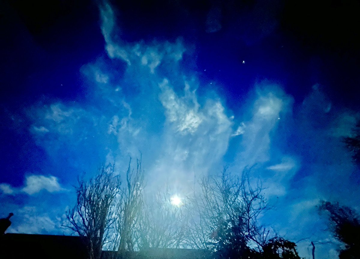 Mick Fitzgerald tweet media