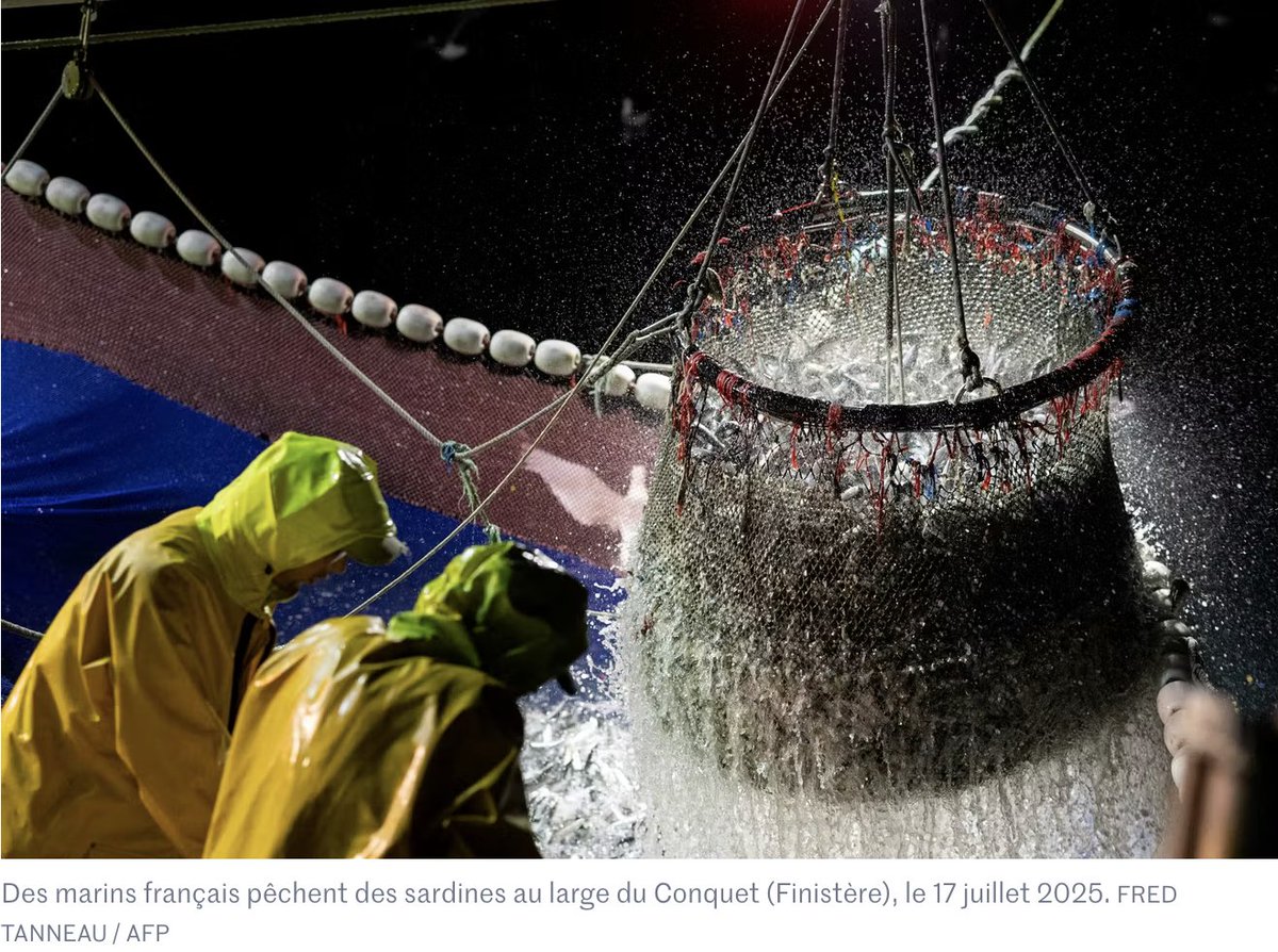 Gouverner, c'est faire face aux faits. Et les faits, c'est que nos mers se réchauffent et que certains stocks s'effondrent. Mais la solution n'est pas d'achever la pêche française. La solution, c'est une diplomatie européenne agressive pour imposer nos normes écologiques au monde