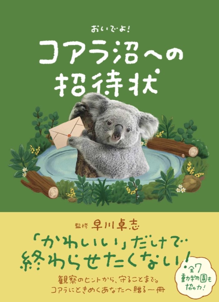 情報解禁✨ 今回も撮影・写真提供で携わらせていただきました