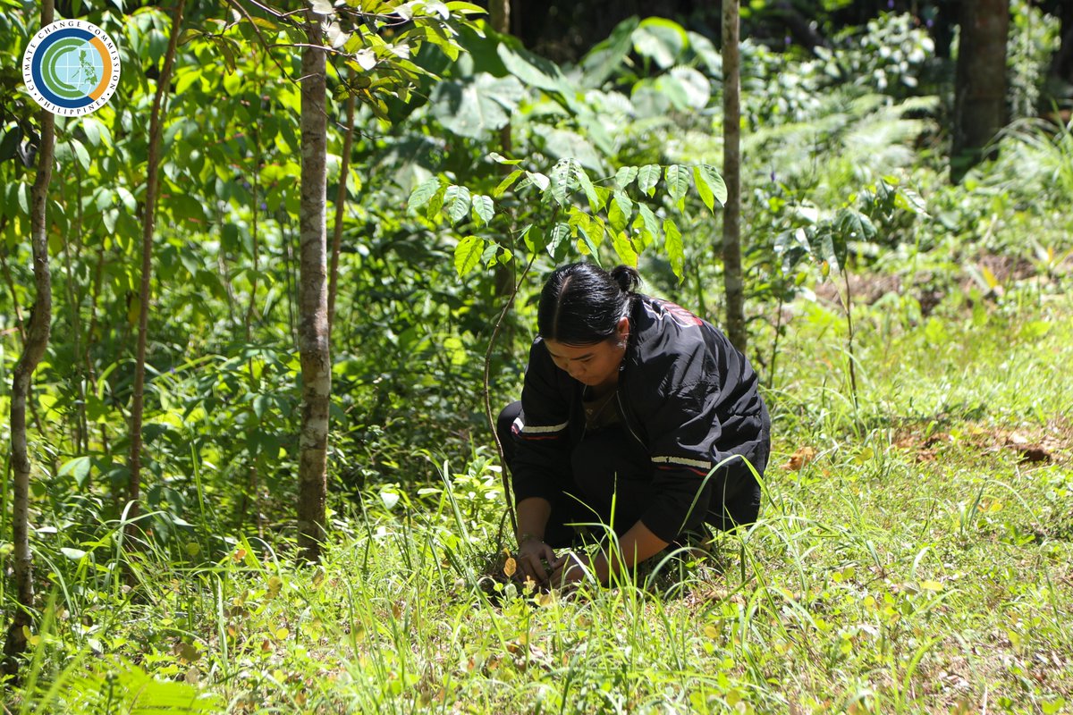 Climate Change Commission PH tweet media