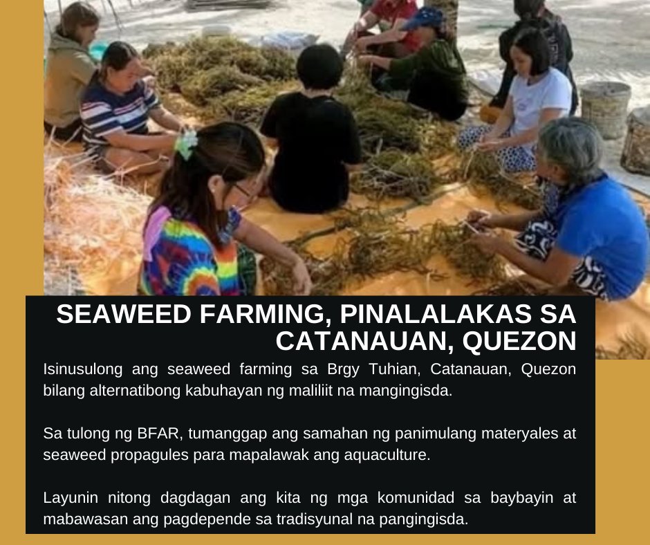 Bryan Paredes tweet media