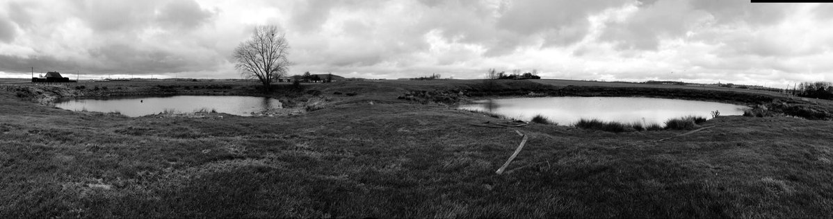 Genevra Charsley tweet media