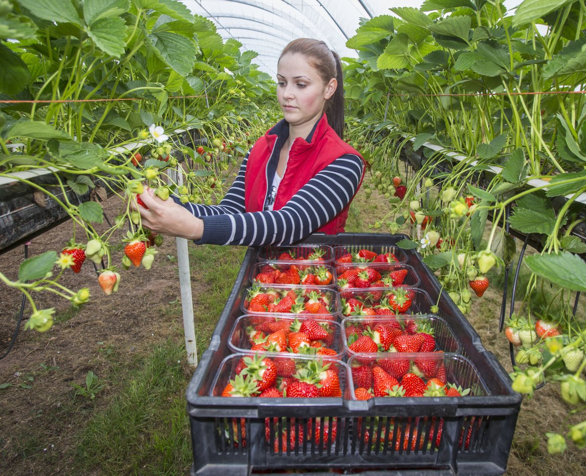 LEAF Education tweet media