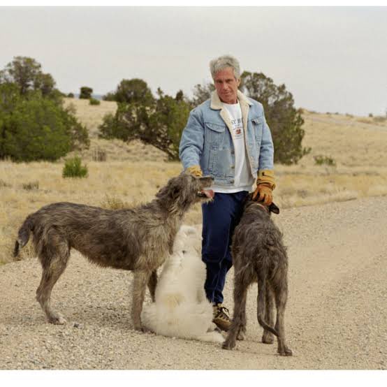 Nur akıyor nur (!) 😳
#sokaktabaşıboşolmaz