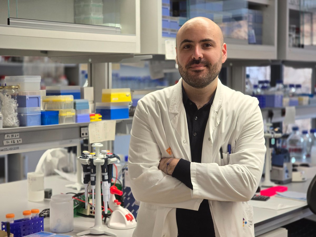 IRSantPau's tweet photo. Un ajut Juan de la Cierva reforça la recerca en genòmica funcional del #càncer i les malalties minoritàries a l’IR Sant Pau🧬

🔬L’Agencia Estatal de Investigación (AEI) ha concedit aquest ajut al Dr. Gerard Muñoz Pujol, que desenvoluparà la seva activitat científica a l’Institut de Recerca #SantPau dins del grup de Síndromes de reparació de l’ADN i predisposició al càncer, dirigit pel Dr. Jordi Surrallés.

🧪El finançament permetrà consolidar la seva etapa postdoctoral i reforçar una línia de recerca centrada en l’aplicació de tecnologies de medicina genòmica avançada per millorar el diagnòstic i la caracterització molecular de malalties genètiques hereditàries.

🔎El Dr. Gerard Muñoz Pujol desenvoluparà projectes centrats en l’anàlisi integrada de dades genòmiques i transcriptòmiques i en la validació funcional de variants genètiques de significat incert, mitjançant estratègies basades en biologia molecular i edició gènica.

🤝🏽Amb aquest nou ajut Juan de la Cierva, l’IR Sant Pau reforça el seu compromís amb la captació i consolidació de talent investigador i amb l’impuls de línies estratègiques en medicina genòmica i de precisió

ℹ️Llegeix la notícia completa aquí👇🏽
https://t.co/7RcLgych0u

#JuntsFemRecerca