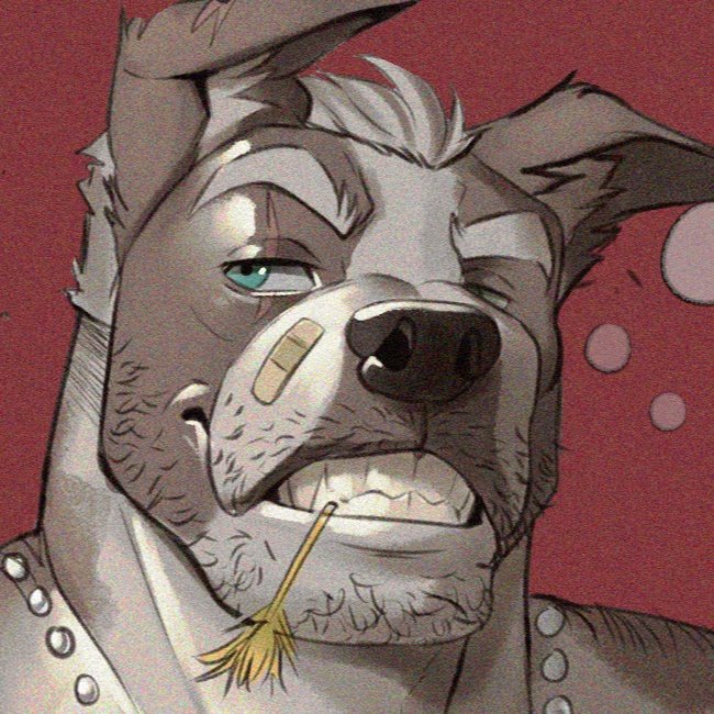 𝔾𝕚𝕝𝕓𝕖𝕣𝕥 𝕏𝕖𝕧𝕚𝕖𝕣 🐶 tweet media