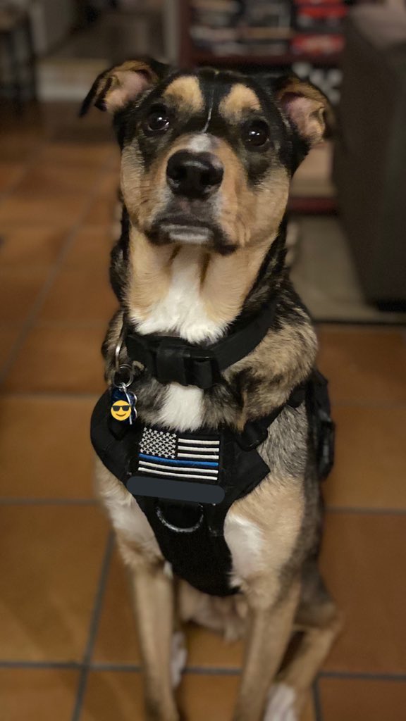 On Patrol: Live • Community tweet media