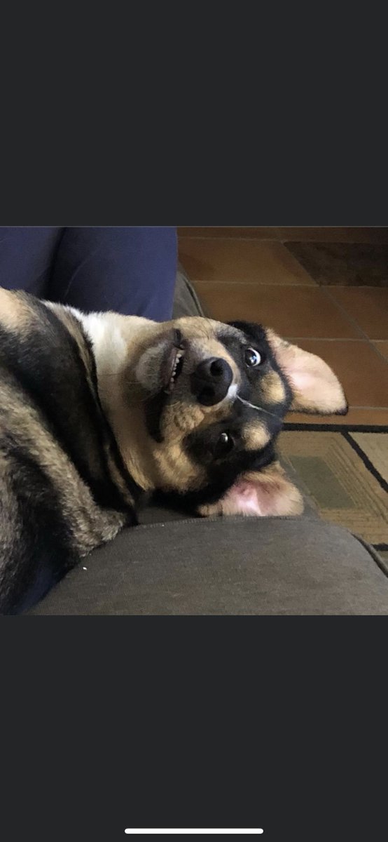 On Patrol: Live • Community tweet media