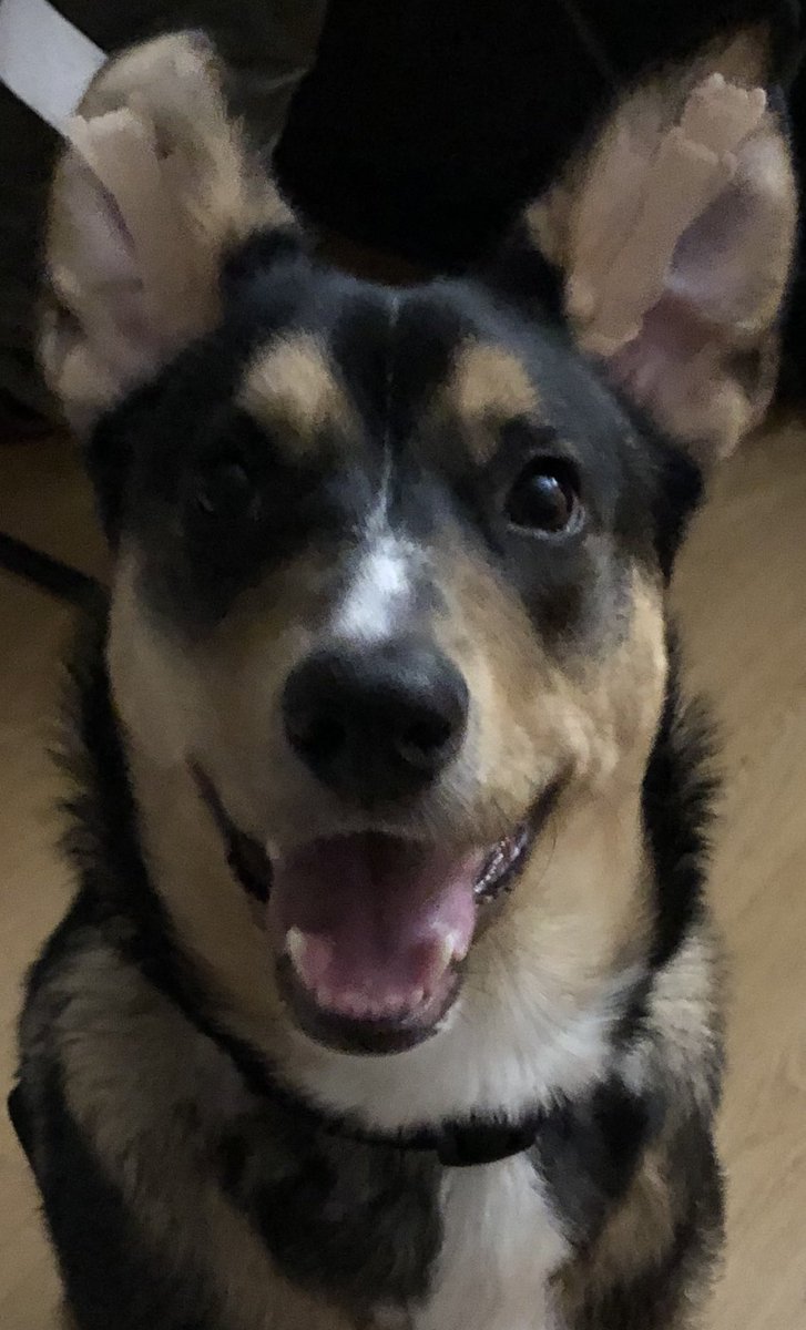 On Patrol: Live • Community tweet media